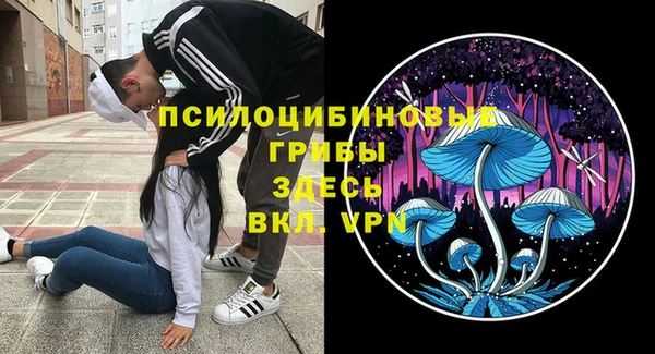 индика Гусиноозёрск