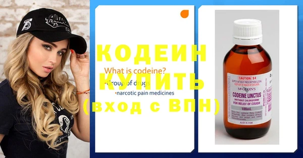 индика Гусиноозёрск