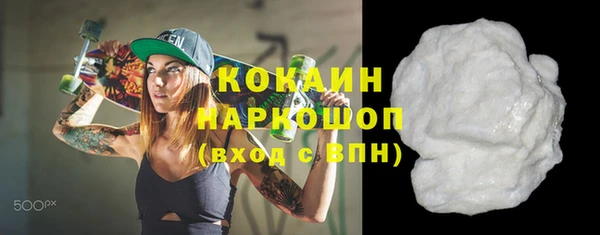 индика Гусиноозёрск