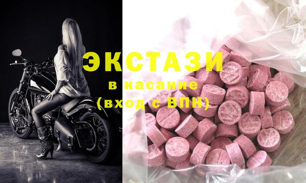 индика Гусиноозёрск