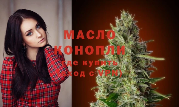 индика Гусиноозёрск
