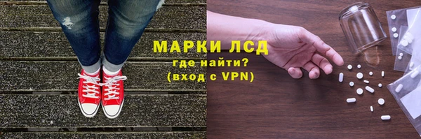 индика Гусиноозёрск