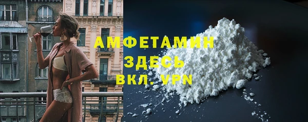 индика Гусиноозёрск