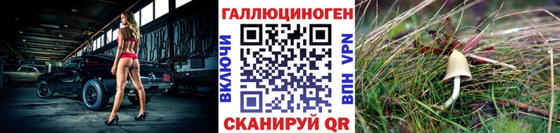 Купить где  Будённовск  Псилоцибиновые грибы мухоморы 